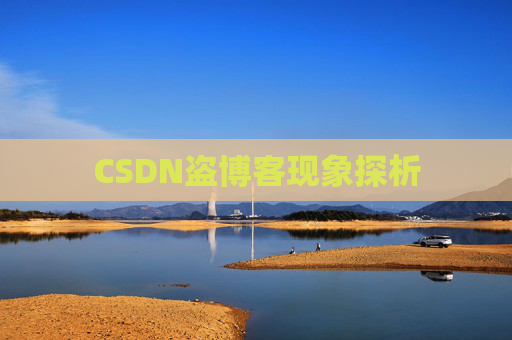 CSDN盗博客现象探析