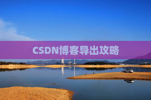 CSDN博客导出攻略